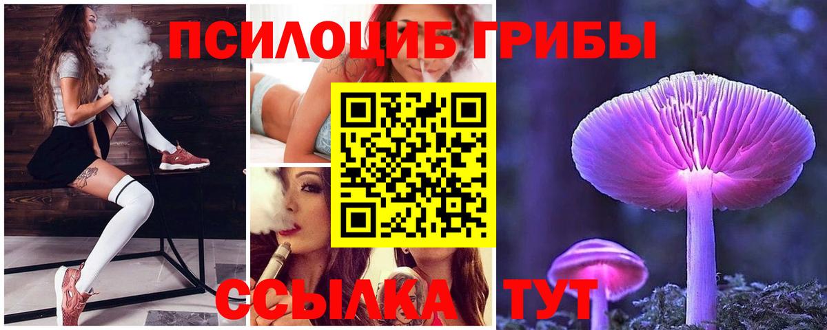 Псилоцибиновые грибы прущие грибы Мытищи