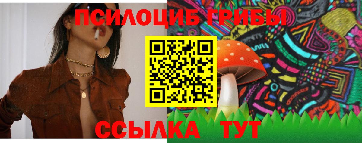Мытищи  Галлюциногенные грибы Psilocybe  Вход с VPN  Галлюциногенные грибы мицелий 